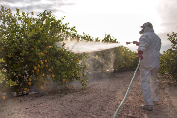 Best Wasp Removal Services  in Richmond, KY