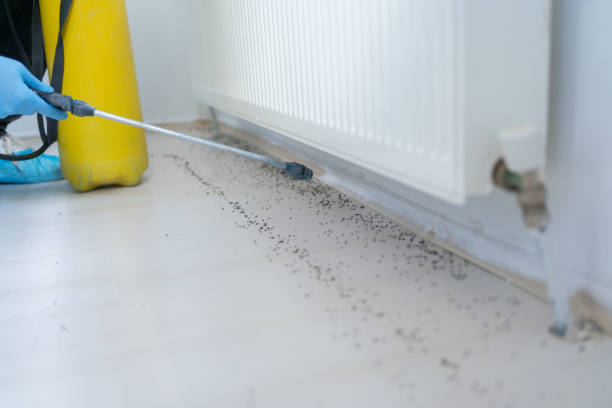 Best Best Pest Control Companies  in Richmond, KY